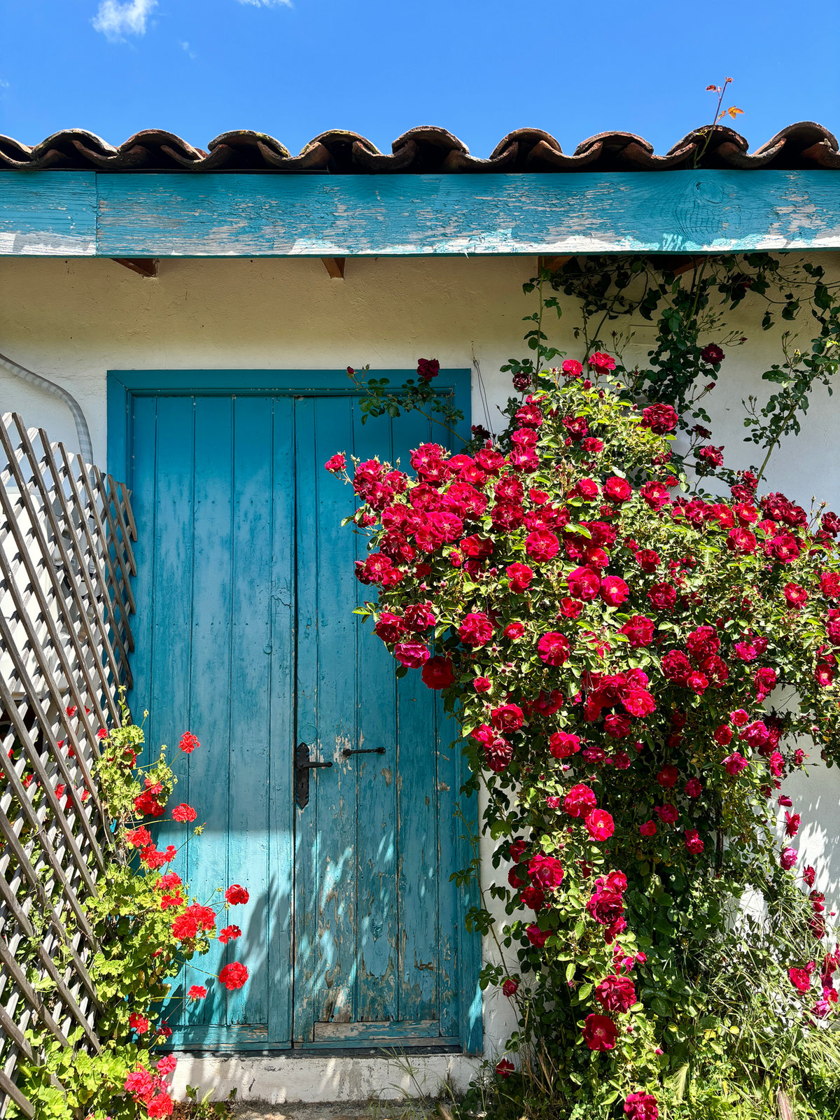 Winery tourism accommodation at La Despensa in the Colchagua Valley