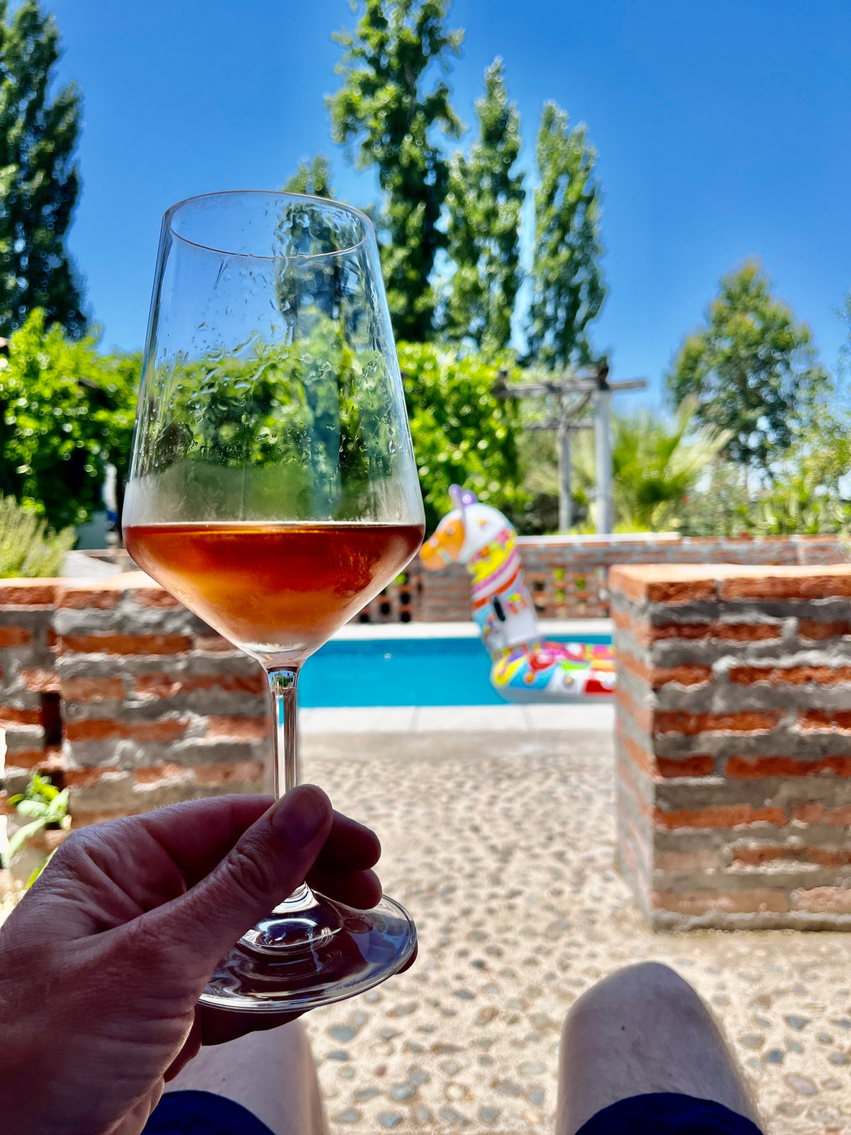 Working boutique winery, vineyard and mini-hotel in the Colchagua Valley