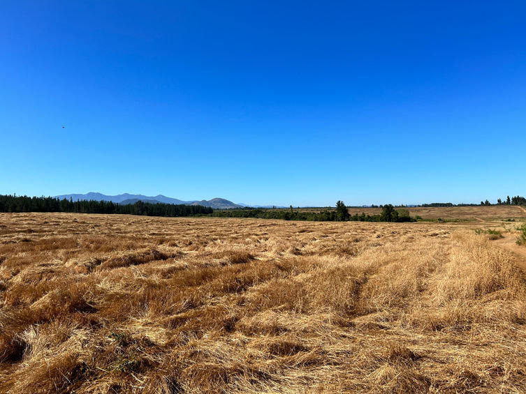 Buying a Farm in Chile: Agricultural Land, Returns and Water Rights