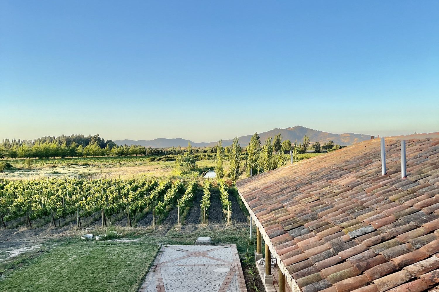 Sangiovese vineyard and Colonial-style home in Santa Ana, Colchagua Valley