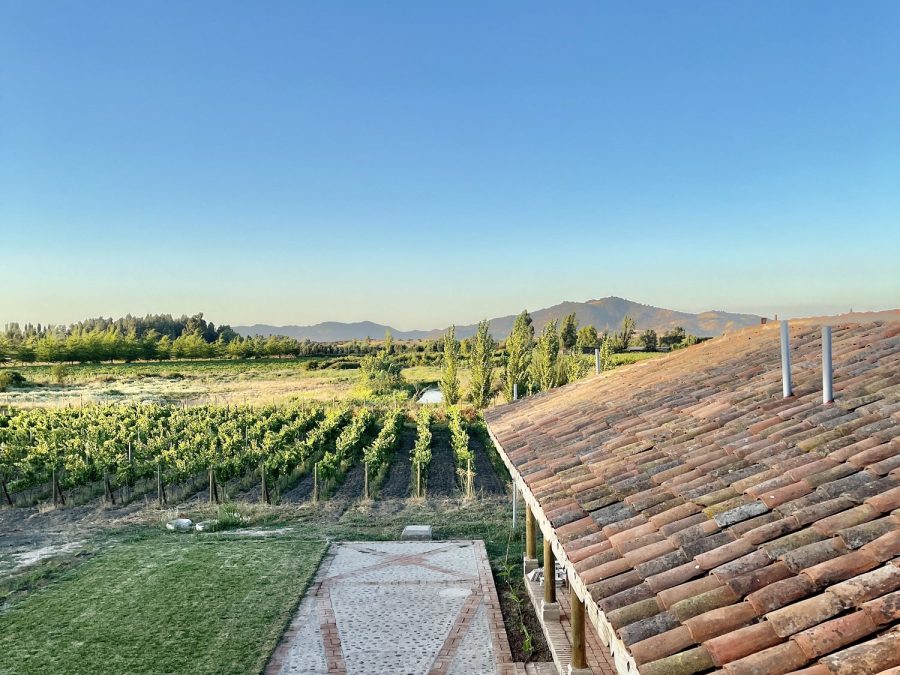 Sangiovese vineyard and Colonial-style home in Santa Ana, Colchagua Valley