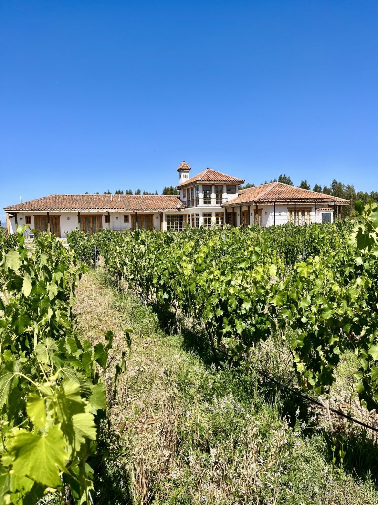 Colonial-style vineyard home seen across the Sangiovese vines