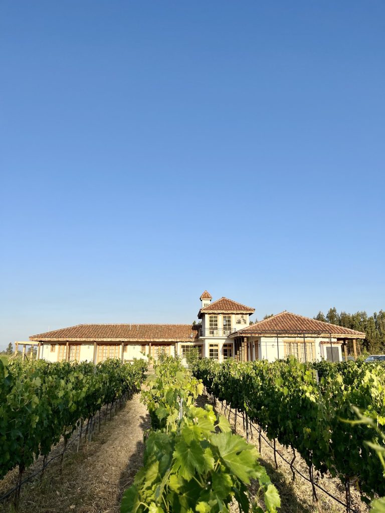 Vineyard rows leading to the Colonial-style home in Colchagua Valley