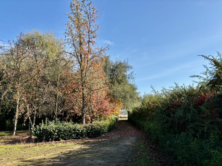 Property photograph — Home and Profitable Cherry Farm for Sale in Chile