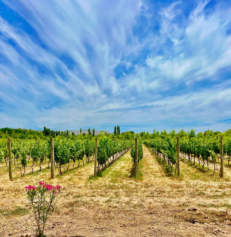 Property photograph — Winery, Tourism Business and Modern Vineyard Home