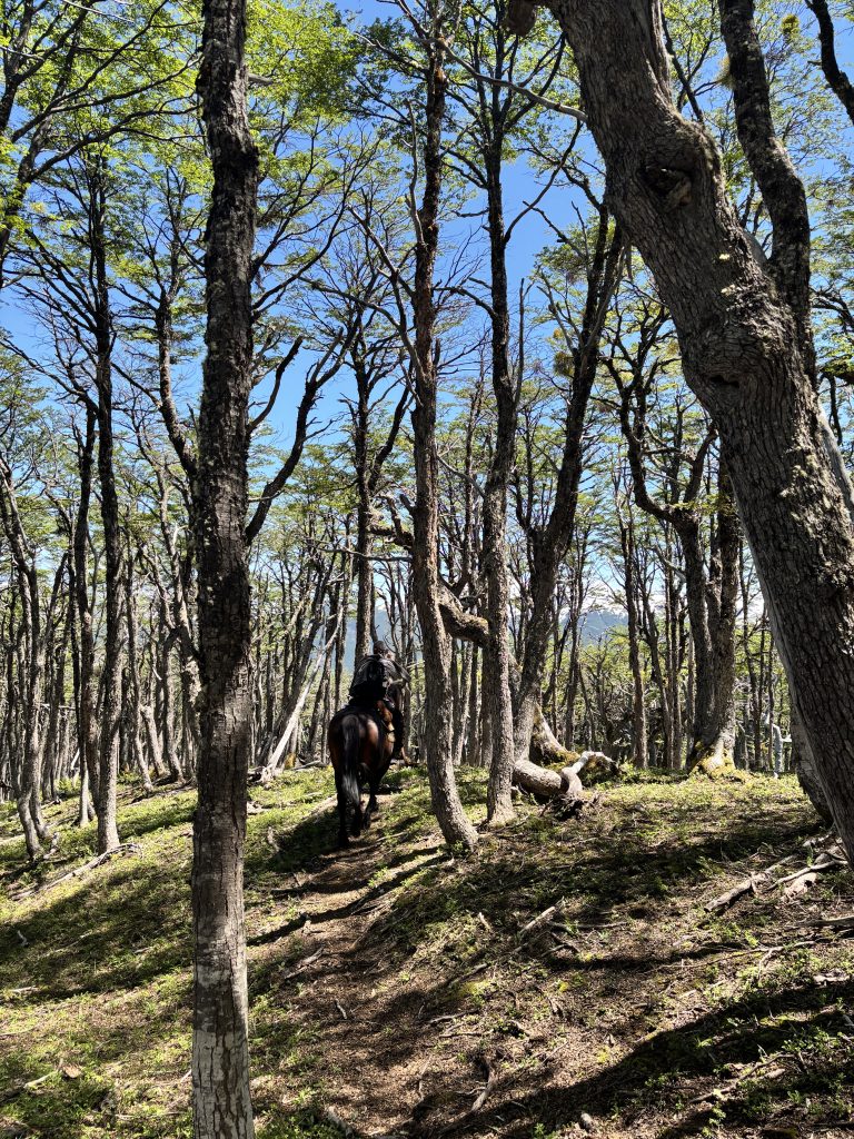Property photograph — Estancia La Estrella – Patagonia Conservation Property