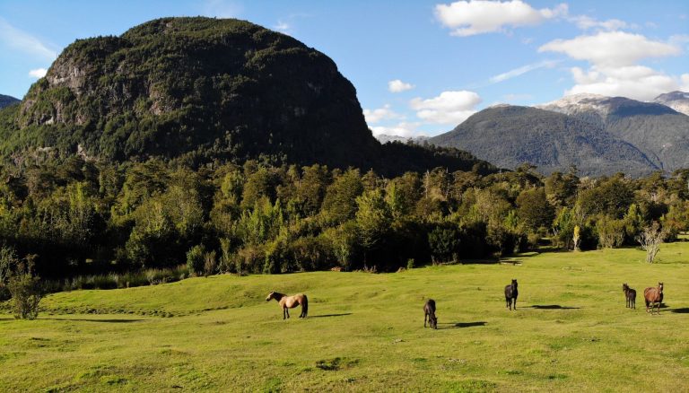 Property photograph — 2,000-Hectare Southern Patagonia Estate