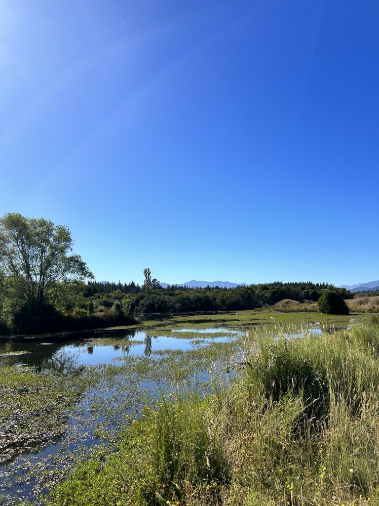 Property photograph — 303-Hectare Farm for Sale in Chile