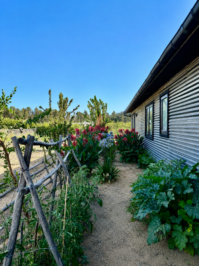 Property photograph — Modern Home and Vineyard for Sale in Chile