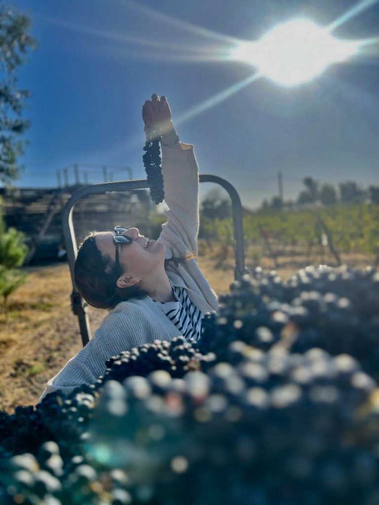 Property photograph — Winery, Vineyard, Lodging & Lifestyle