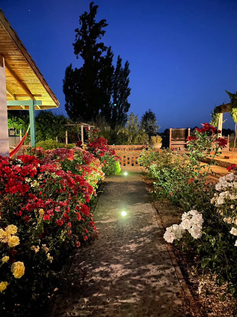 Property photograph — Winery, Vineyard, Lodging & Lifestyle