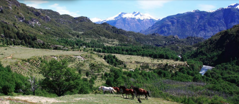 Property photograph — Estancia La Estrella – Patagonia Conservation Property