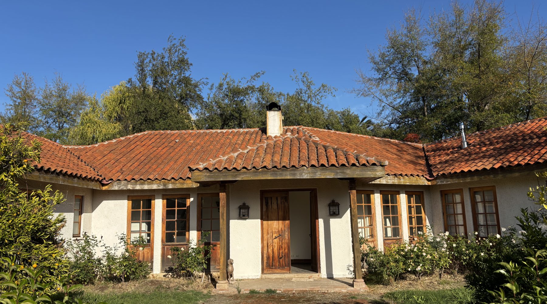 Home and Profitable Cherry Farm for Sale in Chile