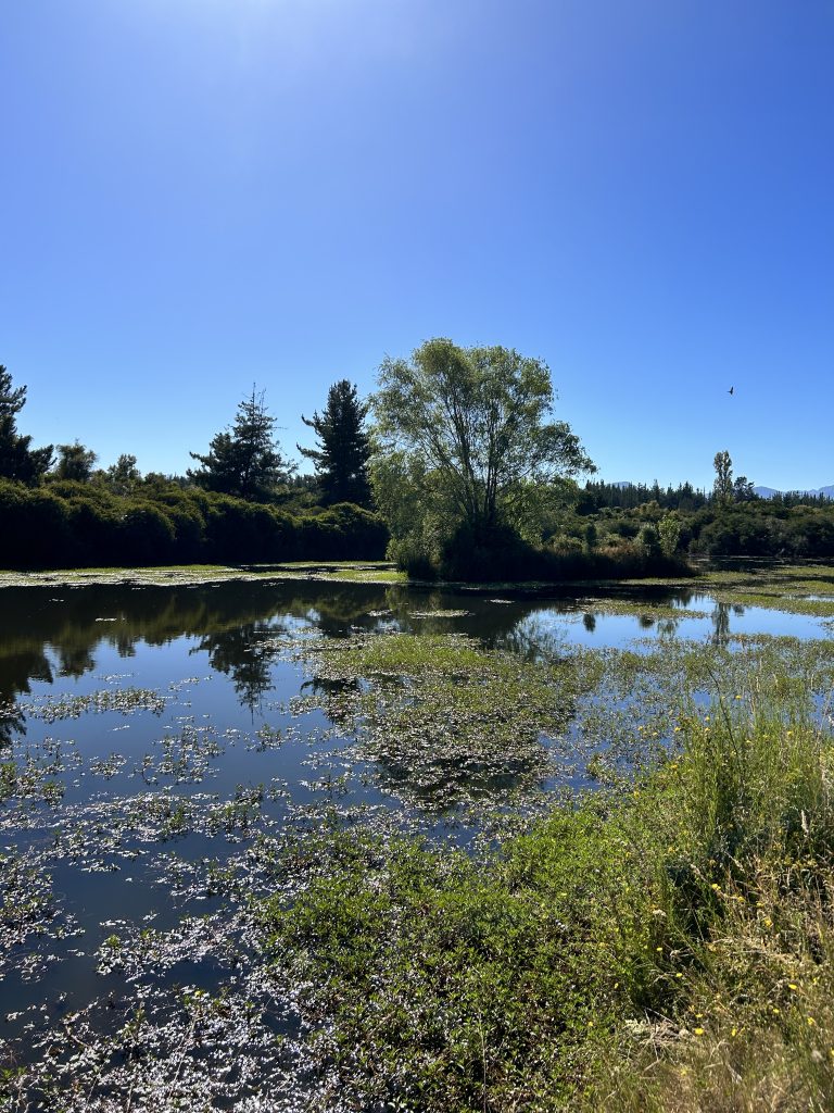 Property photograph — 303-Hectare Farm for Sale in Chile