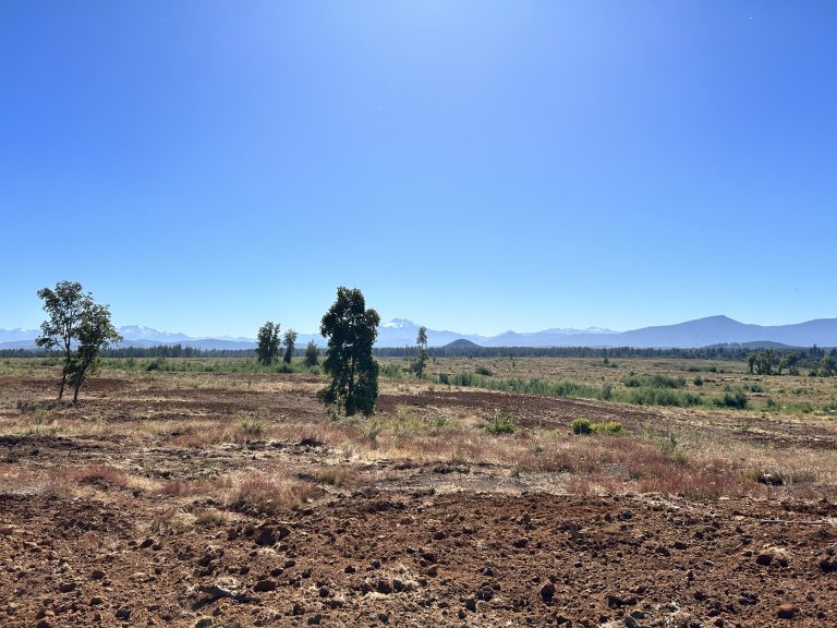 Property photograph — 303-Hectare Farm for Sale in Chile