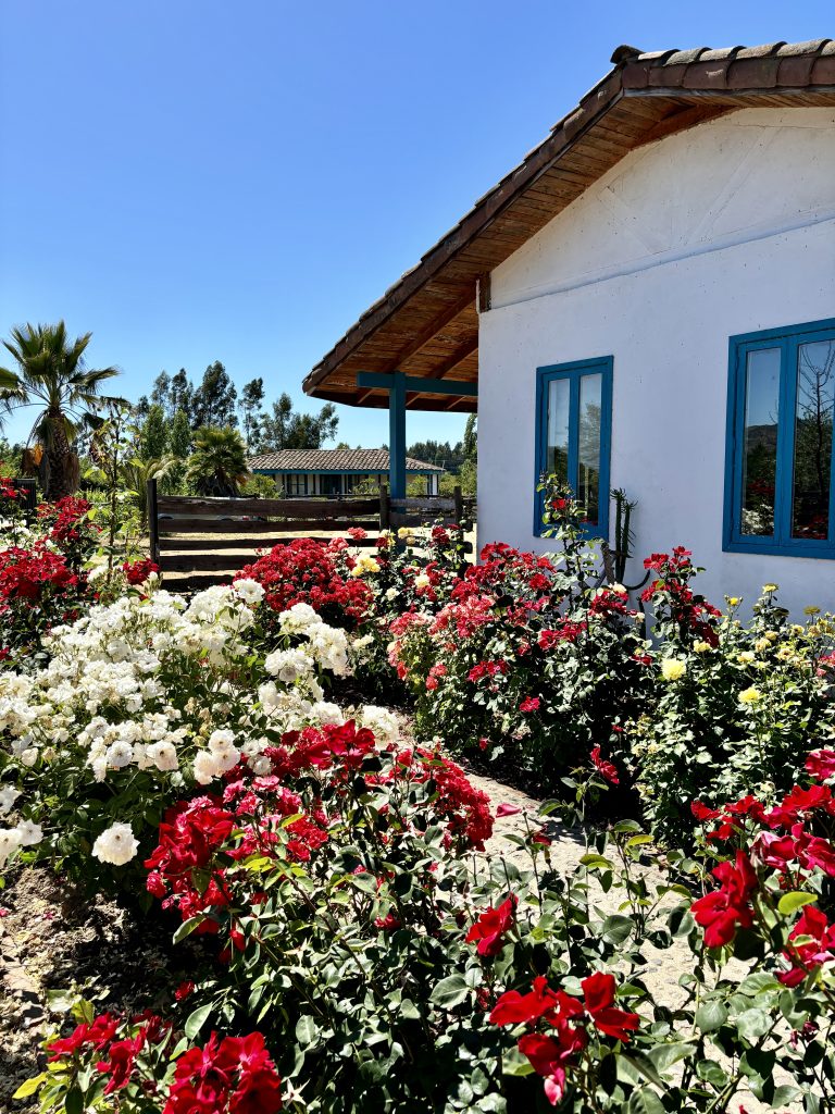 Property photograph — Winery, Vineyard, Lodging & Lifestyle