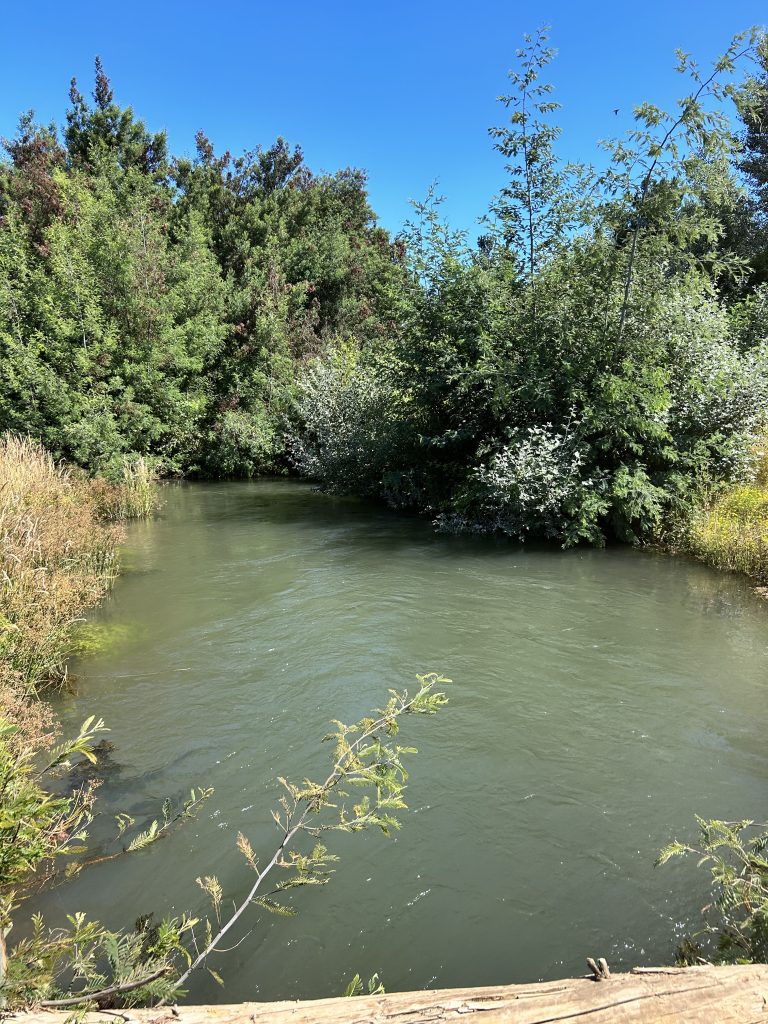 Property photograph — 303-Hectare Farm for Sale in Chile