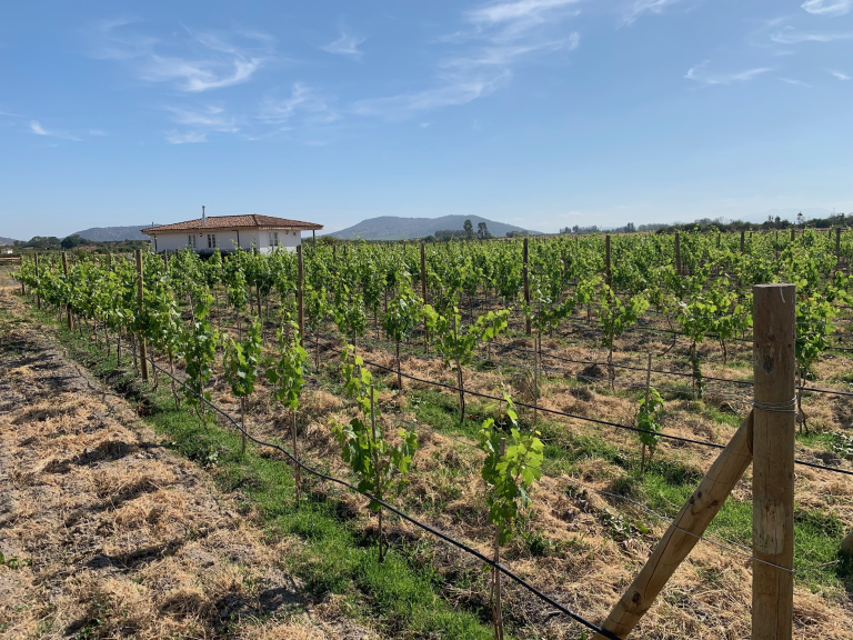 Property photograph — Vineyard, Cottage and Farm for Sale in Chile