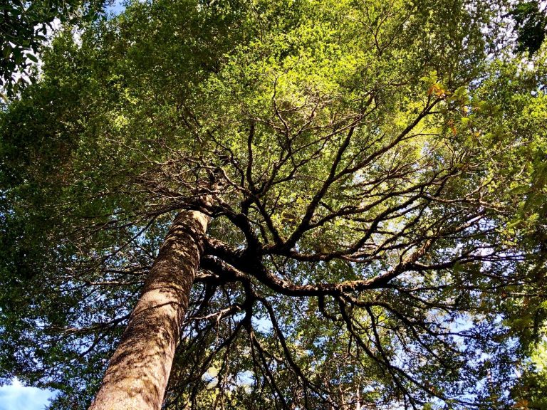 Property photograph — 2,000-Hectare Southern Patagonia Estate