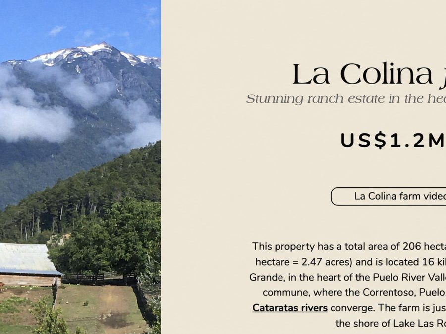 206-Hectare Patagonia Farm and Lifestyle Estate