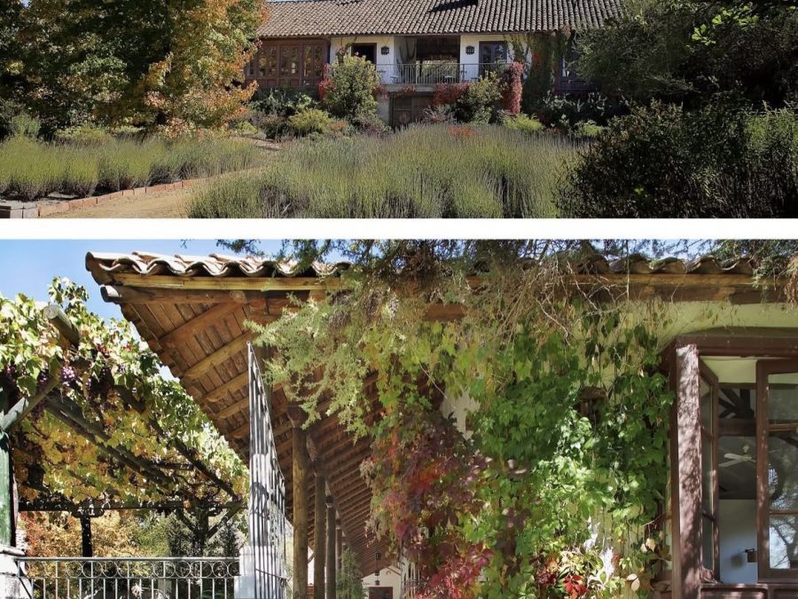 Colonial-Style Home, Vineyard and Winery for Sale