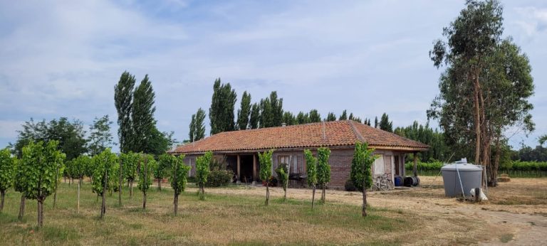 Property photograph — Colonial Home, Vineyard and Winery for Sale in Chile