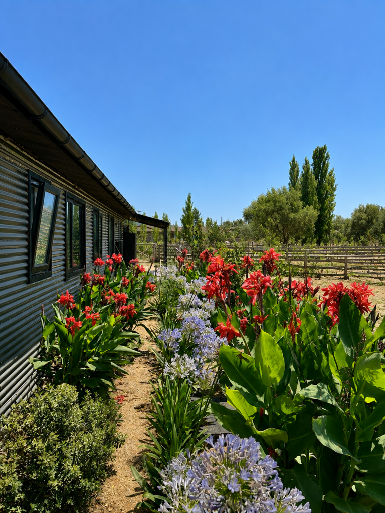Property photograph — Modern Home and Vineyard for Sale in Chile