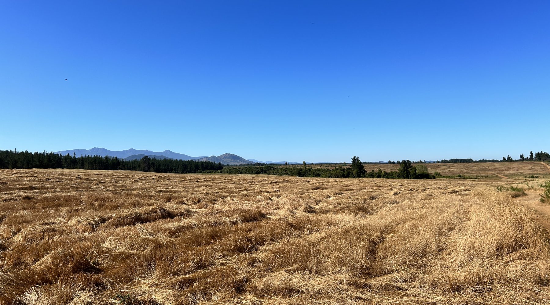 303-Hectare Farm for Sale in Chile