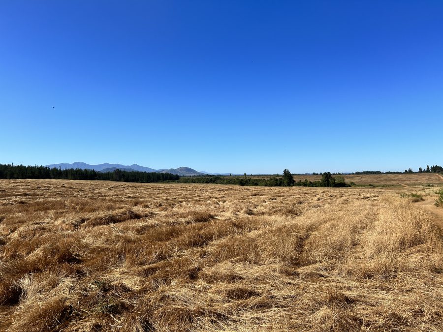 303-Hectare Farm for Sale in Chile
