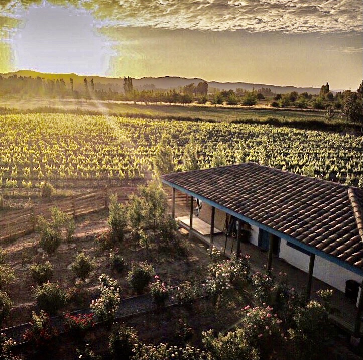 Property photograph — Winery, Vineyard, Lodging & Lifestyle