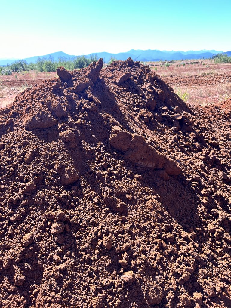 Property photograph — 303-Hectare Farm for Sale in Chile