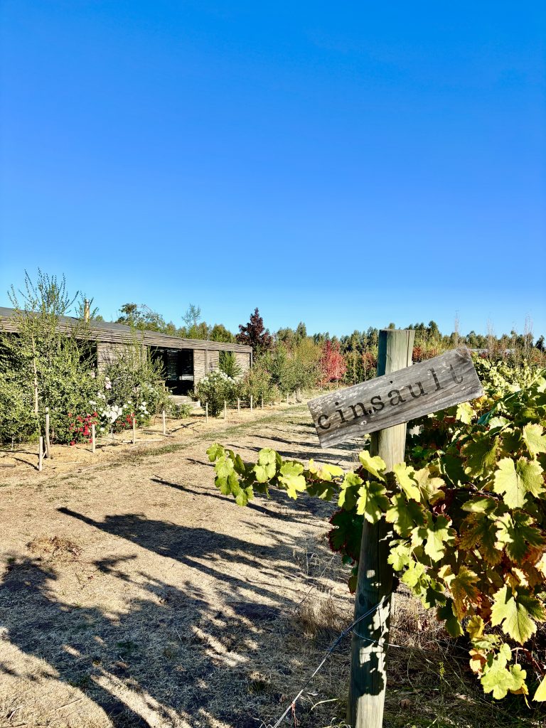 Property photograph — Modern Home and Vineyard for Sale in Chile