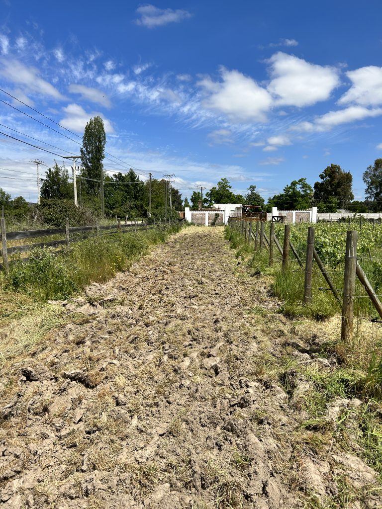 Property photograph — Vineyard, Cottage and Farm for Sale in Chile