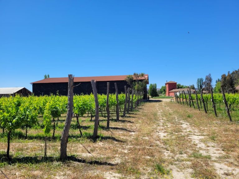 Property photograph — Colonial Home, Vineyard and Winery for Sale in Chile