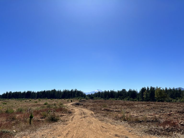 Property photograph — 303-Hectare Farm for Sale in Chile