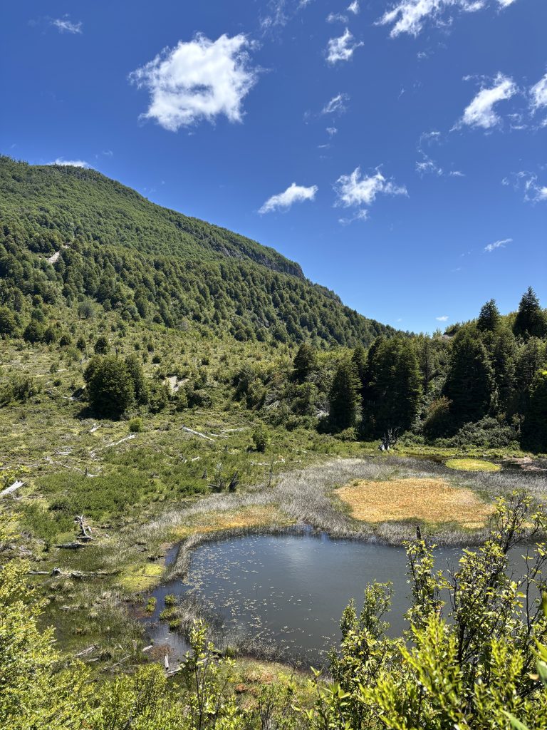 Property photograph — Estancia La Estrella – Patagonia Conservation Property
