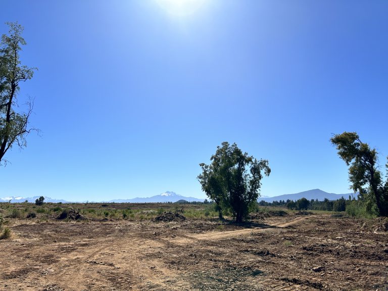 Property photograph — 303-Hectare Farm for Sale in Chile