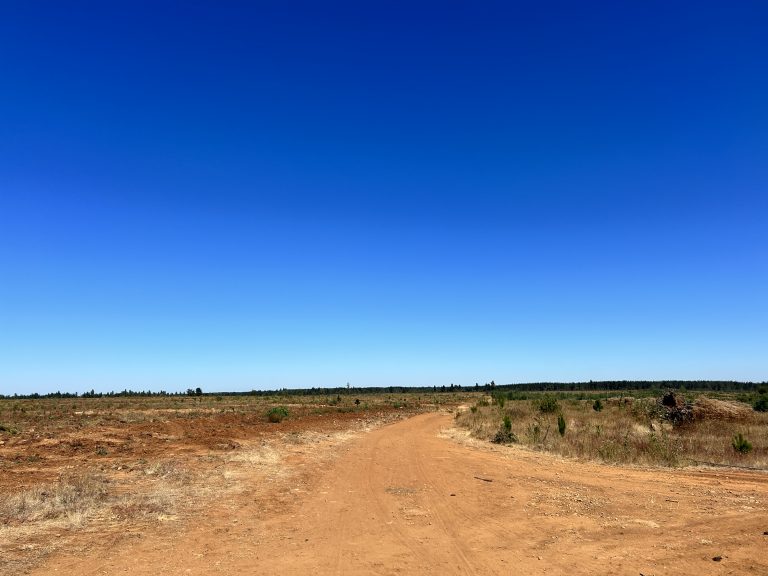 Property photograph — 303-Hectare Farm for Sale in Chile