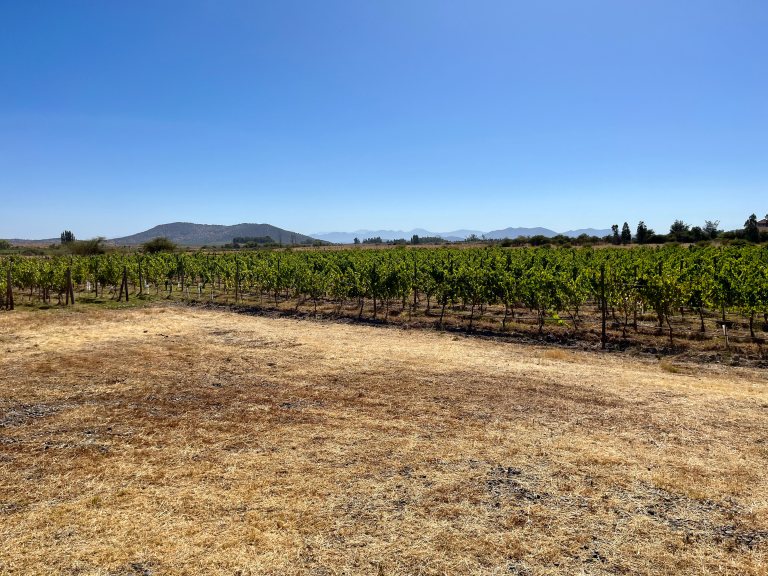 Property photograph — Vineyard, Cottage and Farm for Sale in Chile