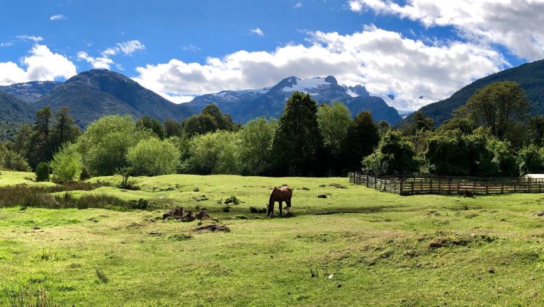 Property photograph — 2,000-Hectare Southern Patagonia Estate